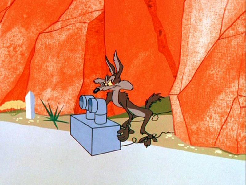 Foto 2 de Coyote com Pena