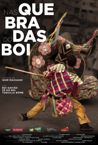 Poster 1 de Curta Nas Quebradas do Boi (2019)