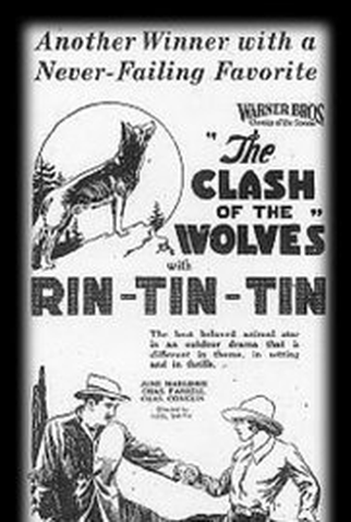 Poster 1 de Filme Colisão de Feras (1925)