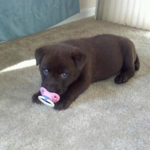 Foto de perfil de vjctor