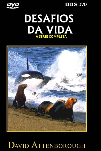 Poster de Série Os Desafios da Vida (1990)