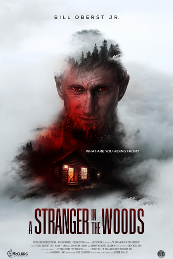Poster de Filme A Stranger in the Woods (2024)