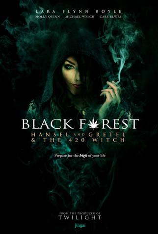 Poster 2 de Filme João, Maria e a Bruxa da Floresta Negra (2013)