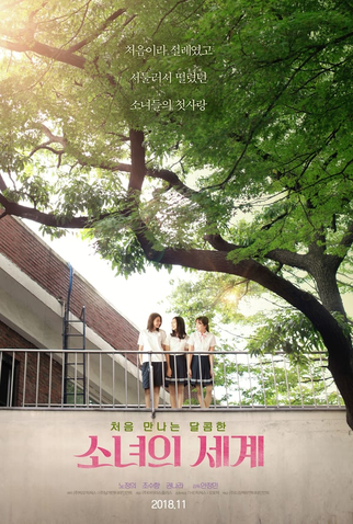 Poster 2 de Filme Descobertas do Amor (2018)