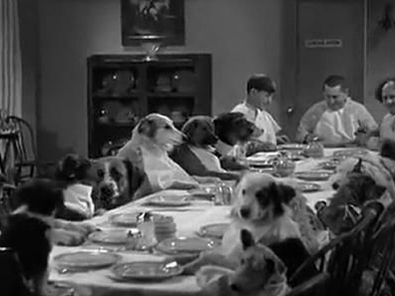 Foto 1 de Isso é uma Cachorrada