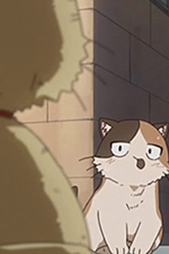 Poster de Episódio Kitty Cat Day (2007)