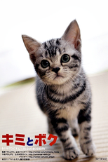 You & Me (Kimi to Boku)