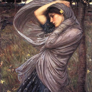 Foto de perfil de Maria Carolina