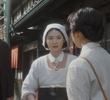 （３６）「１９５１－１９６２」