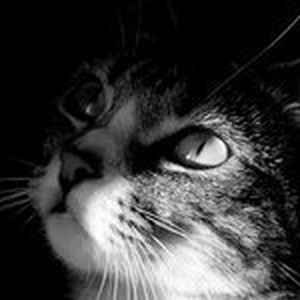 Foto de perfil de CCassa