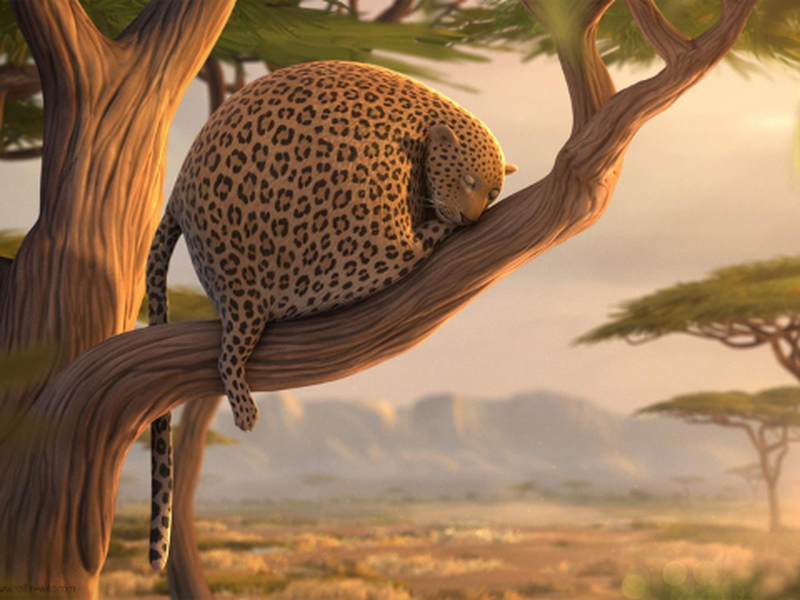 Foto 2 de Rollin' Safari