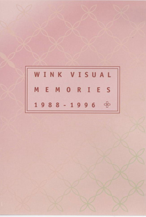 Wink Visual Memories 1988-1996 - Poster / Capa / Cartaz - Oficial 2