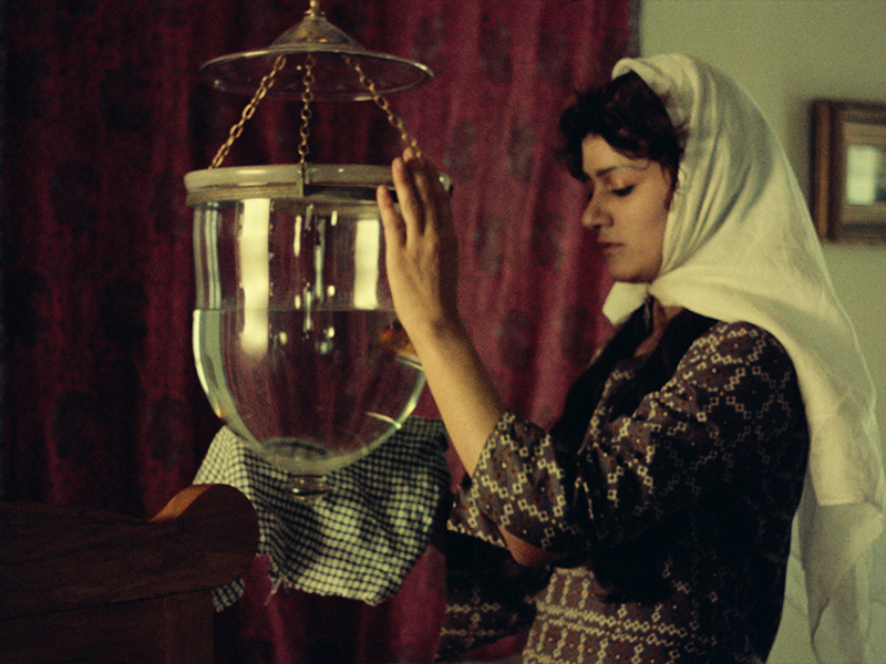 Foto 4 de Xadrez de Vento