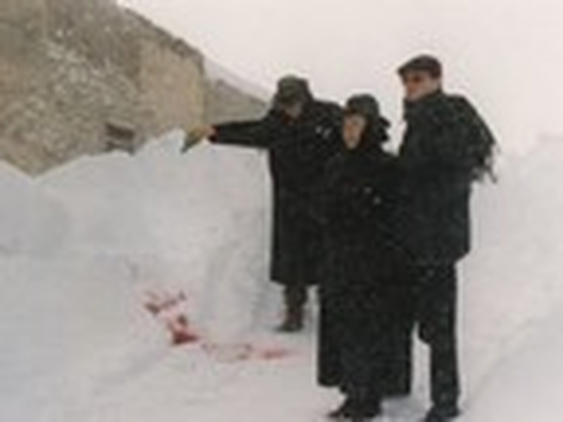 Foto 12 de WhoAfraidWolf      (WerAngstWolf)