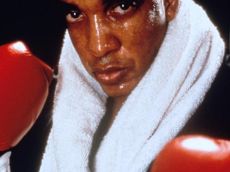 Foto 6 de Olhos de Serpente