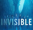 Invisible