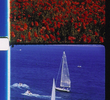 Voiliers et Coquelicots