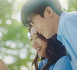 12회