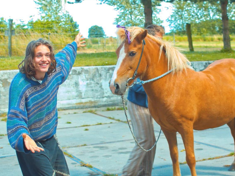 Foto 3 de Hestetraileren