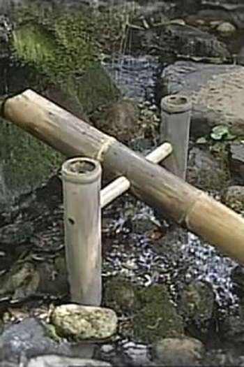 Poster de Episódio Bamboo (2008)