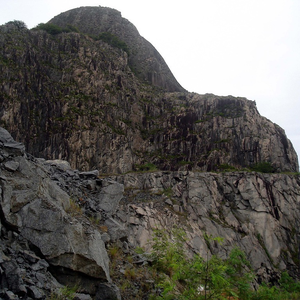 Foto de perfil de Mliutti