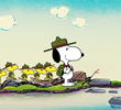 A Beagle Scout Prepares