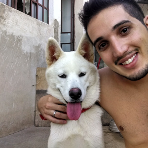 Foto de perfil de Diego Rosembergh