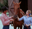 The Rustlers