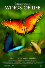 Wings of Life (Wings of Life)