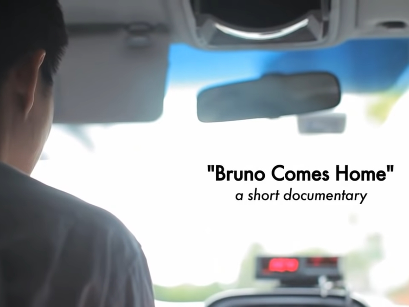Foto 1 de Bruno Comes Home