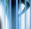 Calling Automan: The Auto Feature 