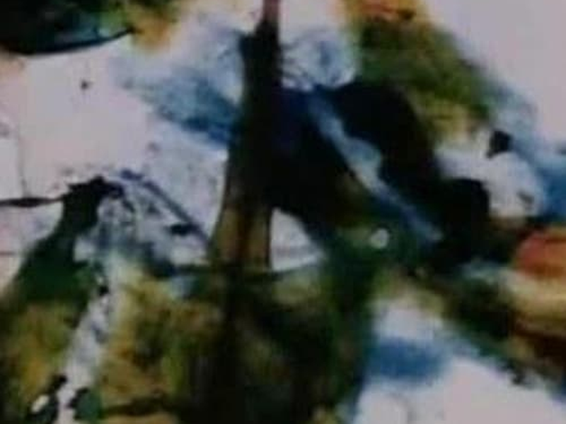 Foto 1 de Persian Series #4