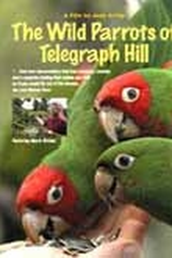  de Filme Os Papagaios Selvagens de Telegraph Hill (2003)