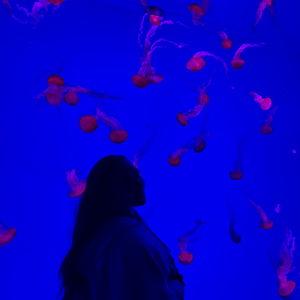 Foto de perfil de Paloma Lima