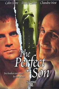 A Perfect Son - Poster / Capa / Cartaz - Oficial 1