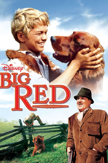  de Filme Astúcia de um Rebelde (1962)