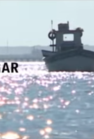 Poster 1 de Curta Meu Lugar (2012)