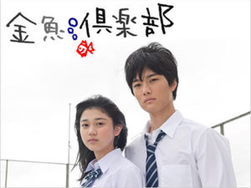 Foto 1 de Kingyo Club