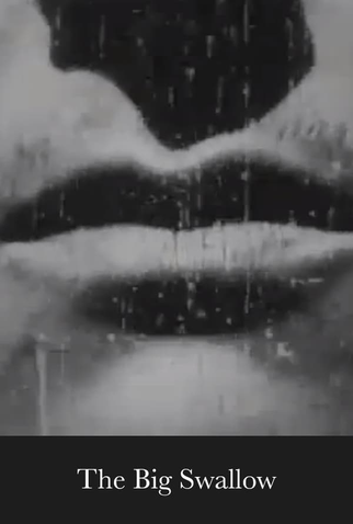 Poster 2 de Curta The Big Swallow (1901)