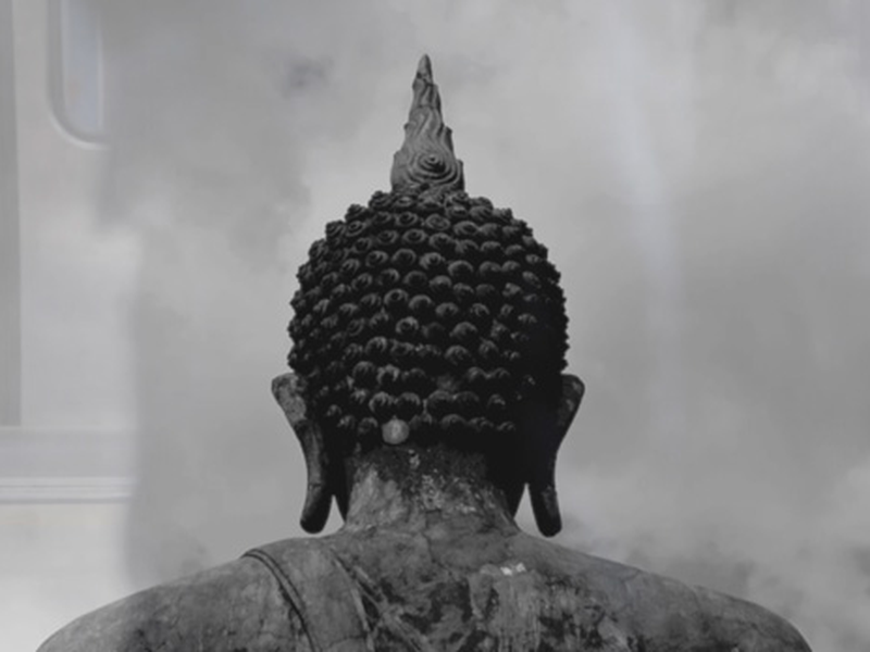 Foto 1 de Nefelibata