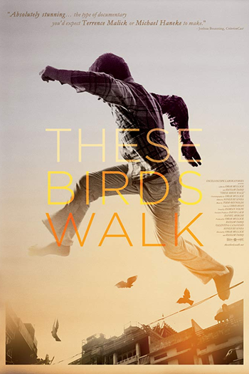 Poster de Filme These Birds Walk (2012)