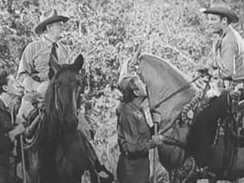 Foto 8 de Acusação Injusta