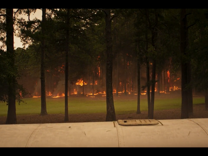 Foto 24 de Wolf Pack (1ª Temporada)