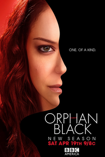 Orphan Black (2ª Temporada) - Poster / Capa / Cartaz - Oficial 3