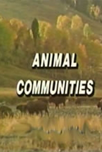 Animais em Comunidades - Poster / Capa / Cartaz - Oficial 1