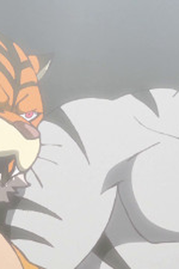Poster de Episódio Four Tigers (2017)