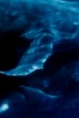 Lost Avenues (Lost Avenues)