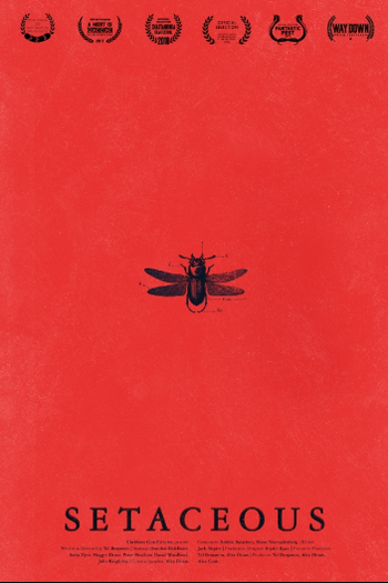 Poster de Curta Setaceous (2017)