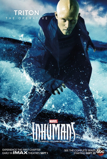 Inumanos (1ª Temporada) - Poster / Capa / Cartaz - Oficial 12