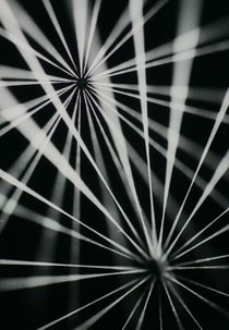 Ideas in Search of Light (Myšlenka hledající světlo)